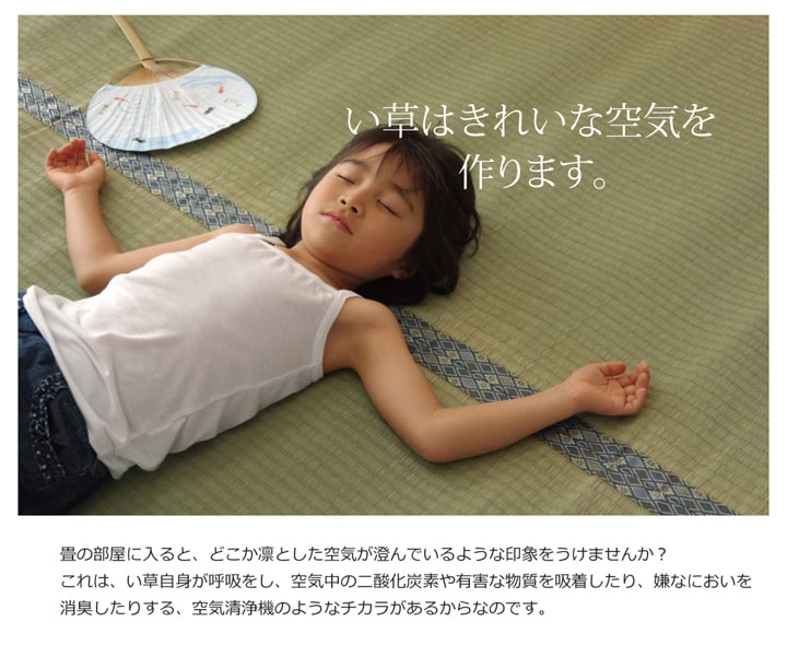 純国産 い草 上敷き カーペット 糸引織 『柿田川』 江戸間6畳(約261×352cm） 送料無料