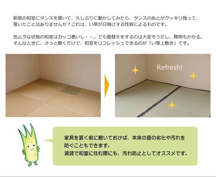 純国産 い草 上敷き カーペット 糸引織 『梅花』 六一間8畳(約370×370cm） 送料無料 - 【公式】allecore(アレコレ) 家具インテリア・生活雑貨のオンライン通販