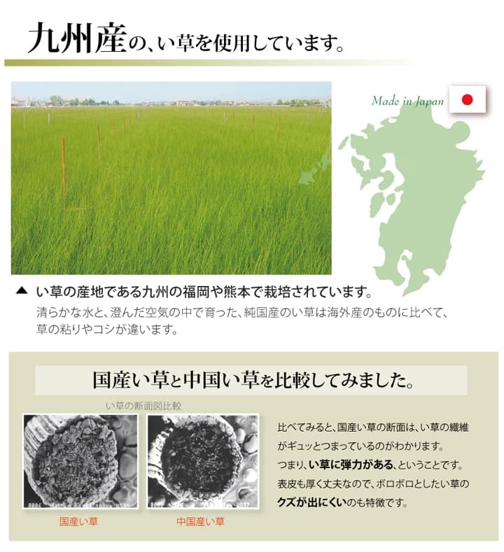 純国産 い草 上敷き カーペット 糸引織 『梅花』 六一間8畳(約370×370cm） 送料無料 - 【公式】allecore(アレコレ) 家具インテリア・生活雑貨のオンライン通販