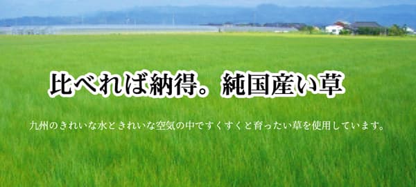 フリーカット い草 上敷き カーペット 『F竹』 江戸間6畳(約261×352cm）(裏:ウレタン張り） 送料無料