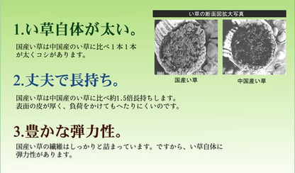 フリーカット い草 上敷き カーペット 『F竹』 江戸間6畳(約261×352cm）(裏:ウレタン張り） 送料無料