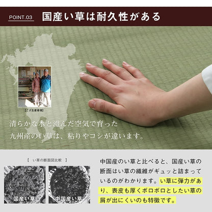 純国産 い草 上敷き はっ水 カーペット 双目織 三六間8畳(約364×364cm） 送料無料