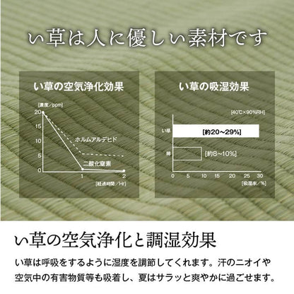 純国産 い草 上敷き 上質ない草で作った カーペット 双目織 江戸間2畳(約176×176cm） 送料無料