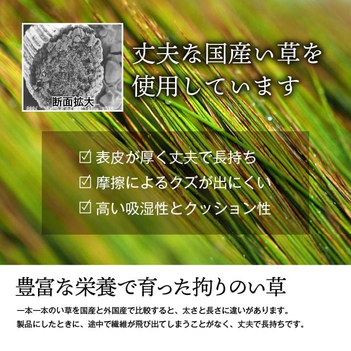 純国産 い草 上敷き 上質ない草で作った カーペット 双目織 江戸間6畳(約261×352cm） 送料無料