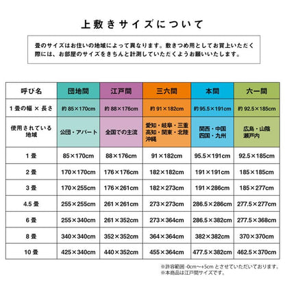 い草 上敷き カーペット 制菌 抗菌防臭 消臭 小林製薬KOBA-GUARD  江戸間4.5畳(約261×261cm） 送料無料
