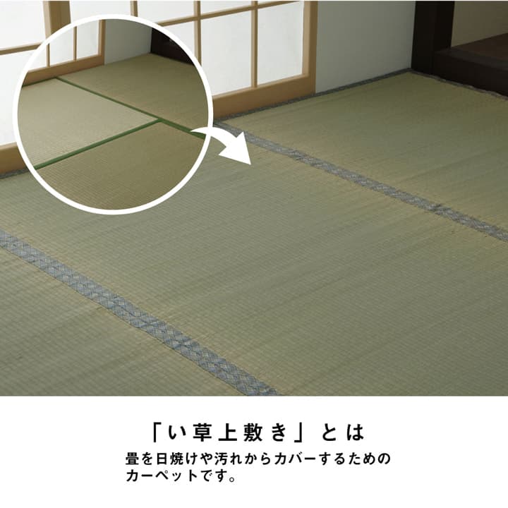 い草 上敷き カーペット 制菌 抗菌防臭 消臭 小林製薬KOBA-GUARD  江戸間6畳(約261×352cm） 送料無料
