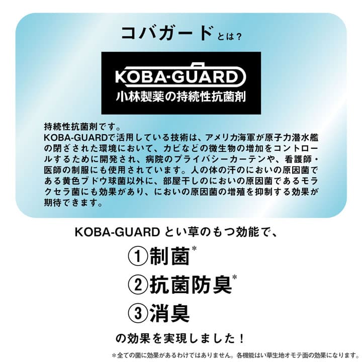 い草 上敷き カーペット 制菌 抗菌防臭 消臭 小林製薬KOBA-GUARD  江戸間2畳(約176×176cm） 送料無料