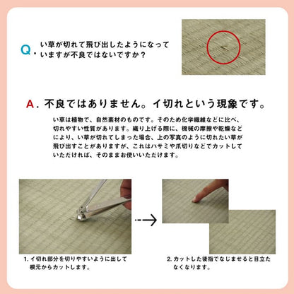 い草 上敷き カーペット 制菌 抗菌防臭 消臭 小林製薬KOBA-GUARD  江戸間8畳(約352×352cm） 送料無料