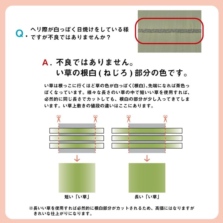 い草 上敷き カーペット 制菌 抗菌防臭 消臭 小林製薬KOBA-GUARD  江戸間2畳(約176×176cm） 送料無料