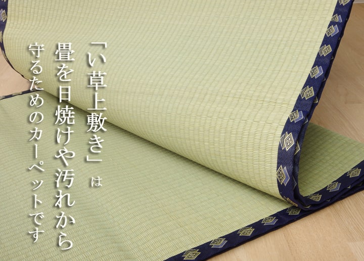 い草 上敷き い草上敷 はっ水 カーペット 無地 『撥水 湖水』 江戸間4.5畳(約261×261cm） 送料無料