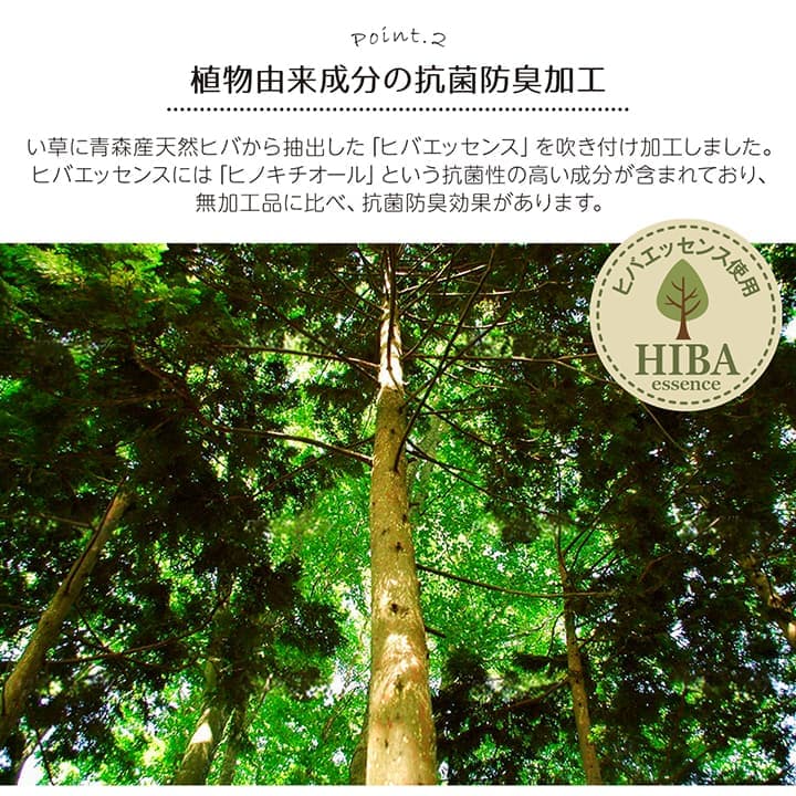 い草ラグ 裏ばり 花ござ カーペット ラグ 3畳 ギャッベ(ギャベ)柄 抗菌防臭 消臭 江戸間3畳 (約174×261cm） 裏:不織布 送料無料