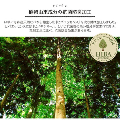 い草ラグ 裏ばり 花ござ カーペット ラグ 4.5畳 ギャッベ(ギャベ)柄 抗菌防臭 消臭 江戸間4.5畳 (約261×261cm） 裏:不織布 送料無料