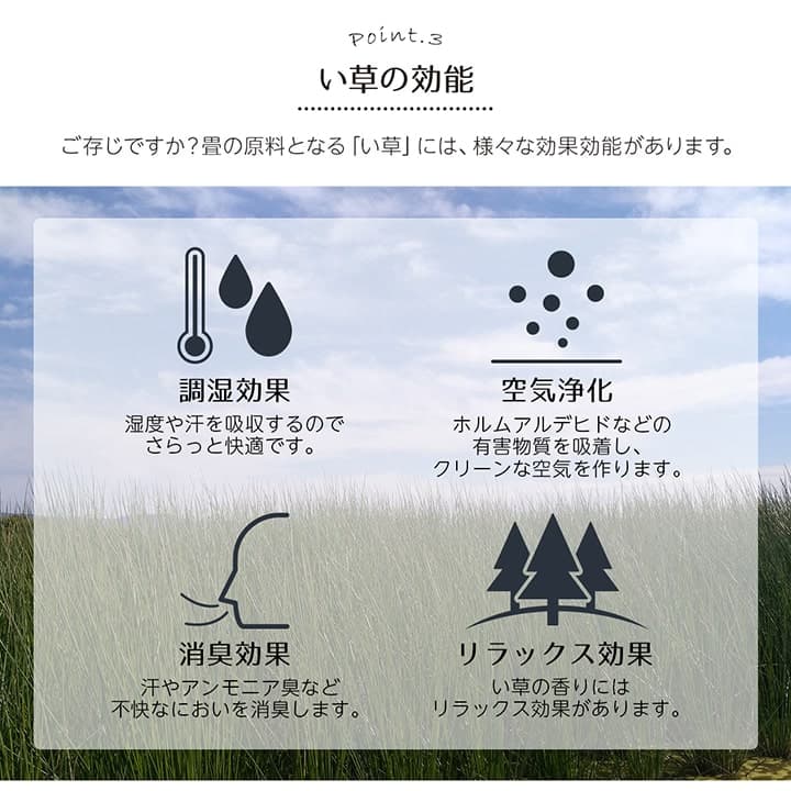 い草ラグ 裏ばり 花ござ カーペット ラグ 2畳 ギャッベ(ギャベ)柄 抗菌防臭 消臭 江戸間2畳 (約174×174cm） 裏:不織布 送料無料
