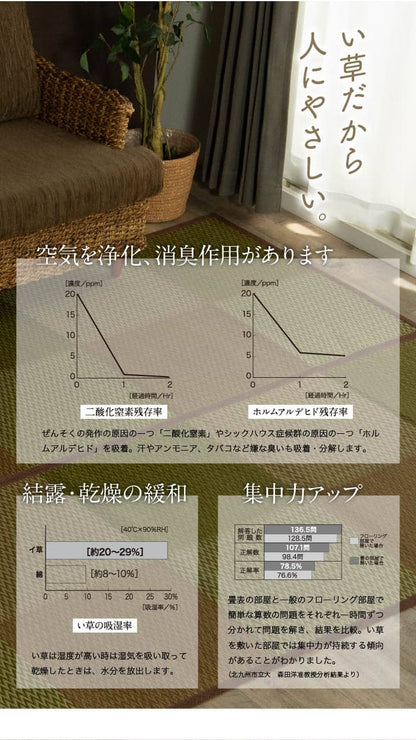 い草ラグ 花ござ カーペット ラグ 2畳 格子柄 市松柄 『DXピーア』 団地間2畳 (約170×170cm） 裏:不織布 送料無料 - 【公式】allecore(アレコレ) 家具インテリア・生活雑貨のオンライン通販