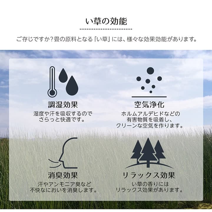 い草ラグ 花ござ カーペット ラグ 4.5畳 ギャッベ(ギャベ)柄 抗菌防臭 消臭 江戸間4.5畳 (約261×261cm） 送料無料