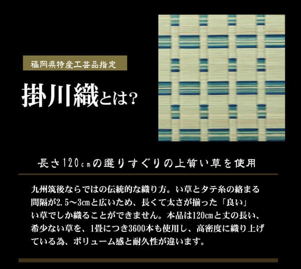 掛川織 い草カーペット 『雲仙』 本間2畳(約191×191cm) 送料無料