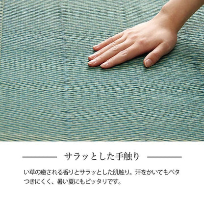 い草ラグ 花ござ カーペット 格子柄 ナチュラル シンプル 和室 抗菌防臭 消臭 お手入れ簡単 夏快適さらさら 江戸間3畳 (約174×261cm） 送料無料