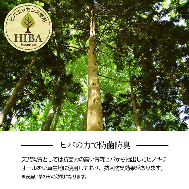 い草ラグ 花ござ カーペット 格子柄 ナチュラル シンプル 和室 洋室 裏不織布滑り止め 滑りにくい 抗菌防臭 消臭 お手入れ簡単 夏快適さらさら 本間2畳 (約191×191cm） 送料無料 - 【公式】allecore(アレコレ) 家具インテリア・生活雑貨のオンライン通販