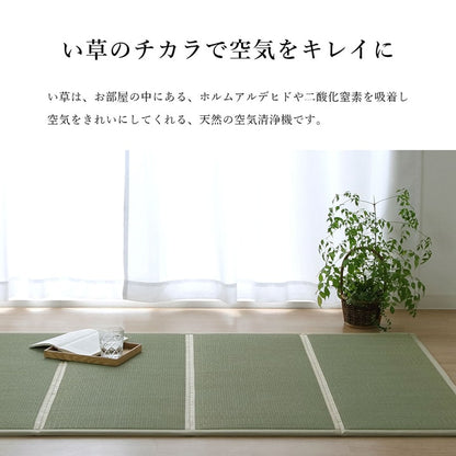 い草 ユニット 畳 軽量 抗菌防臭 消臭 防音 断熱性 お手入れ 簡単 楽 収納 便利 約100×200cm 送料無料