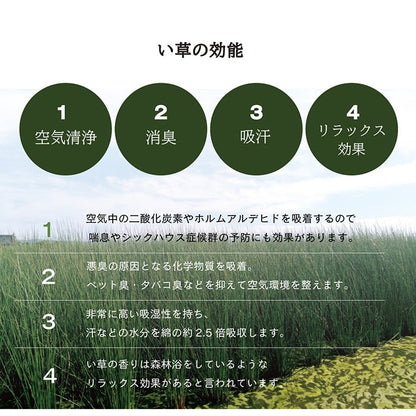 い草 置き畳 ユニット畳 システム畳 無地調 シンプル モダン シック おしゃれ空間 消臭 縁無し お手入れ簡単 裏面滑り止め 収納便利 約70×70×1.5cm 6枚組 送料無料