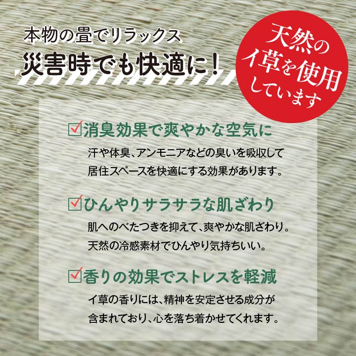 【新商品】防災 避難 備え ユニット 畳 ベッド 段ボール シングル 約100×200cm 5連 送料無料
