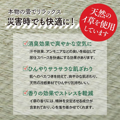 【新商品】防災 避難 備え ユニット 畳 ベッド 段ボール シングル 約100×200cm 5連 送料無料
