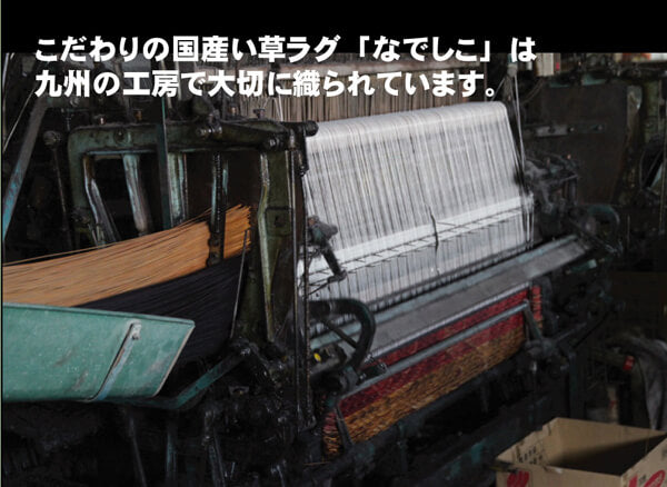 純国産 袋織 い草ラグカーペット 『ＤＸなでしこ』 約191×191cm(裏:不織布） 送料無料