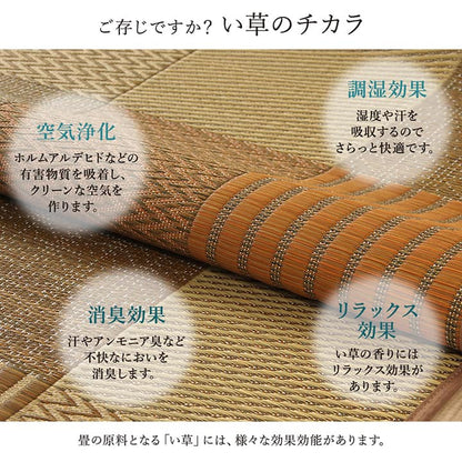 ラグ い草 国産 純国産 日本製 モダン 抗菌防臭 自然素材 パッチワーク 約191×191cm  送料無料