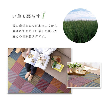 ラグ 純国産 国産 日本製 い草 抗菌防臭 自然素材 モダン 『DXカラフルブロック』 約191×191cm 送料無料 - 【公式】allecore(アレコレ) 家具インテリア・生活雑貨のオンライン通販