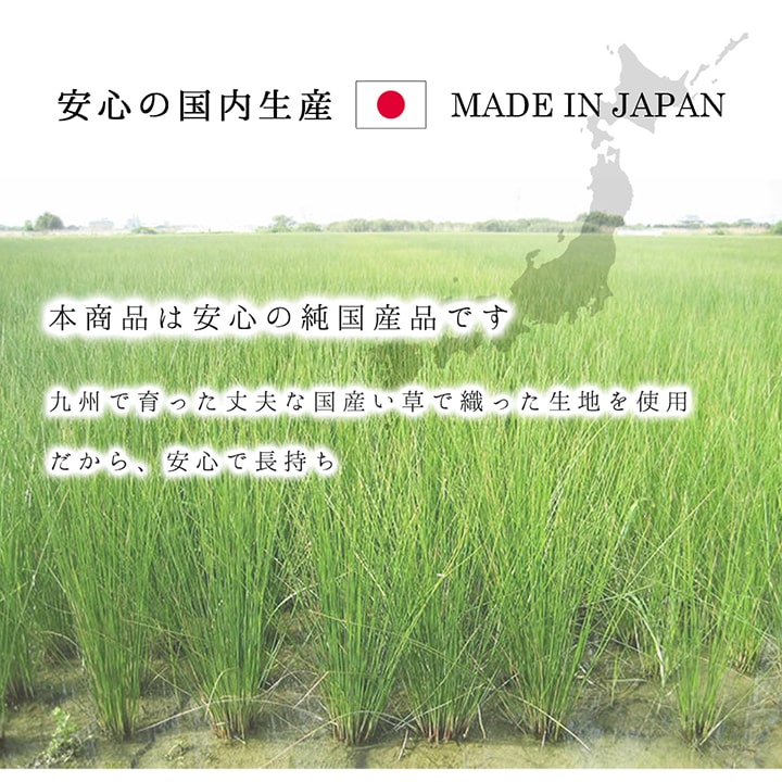 ラグ 純国産 国産 日本製 い草 抗菌防臭 自然素材 モダン 『DXカラフルブロック』 約191×250cm 送料無料 - 【公式】allecore(アレコレ) 家具インテリア・生活雑貨のオンライン通販