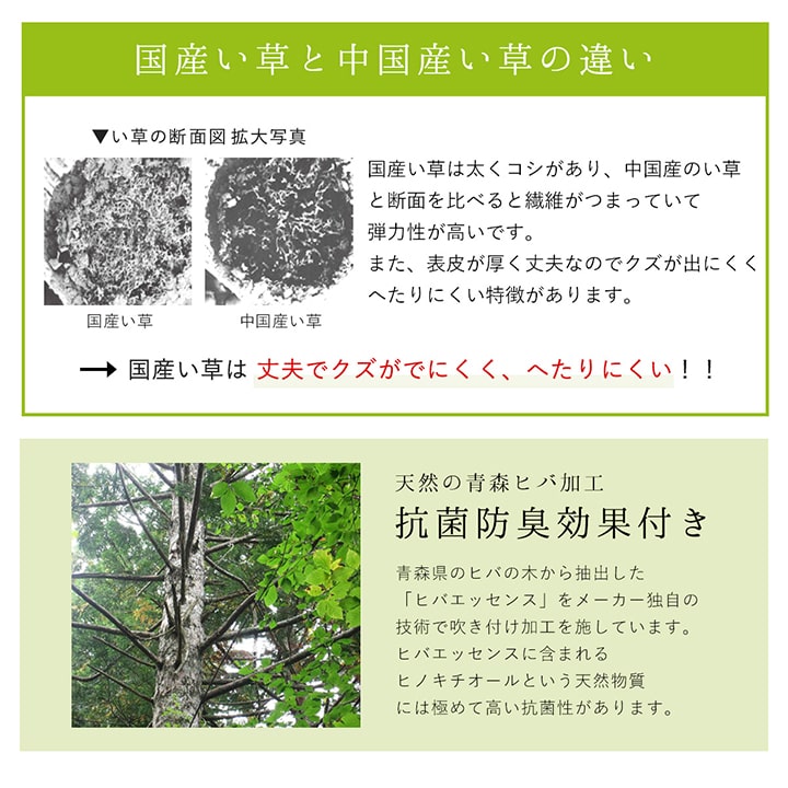 ラグ 純国産 国産 日本製 い草 抗菌防臭 自然素材 モダン 『DXカラフルブロック』 約191×250cm 送料無料 - 【公式】allecore(アレコレ) 家具インテリア・生活雑貨のオンライン通販