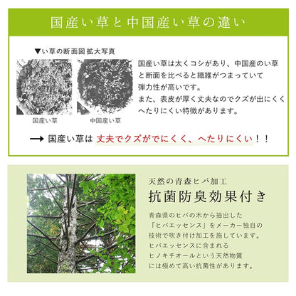ラグ 純国産 国産 日本製 い草 抗菌防臭 自然素材 モダン 『DXカラフルブロック』 約191×250cm 送料無料 - 【公式】allecore(アレコレ) 家具インテリア・生活雑貨のオンライン通販