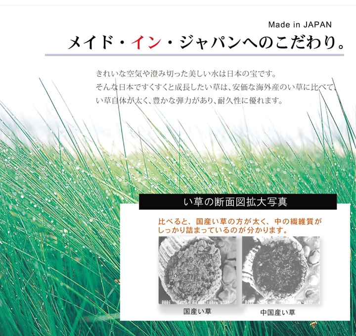 純国産 い草ラグカーペット オリエンタル柄 『DXオーディーン』 約191×191cm 送料無料