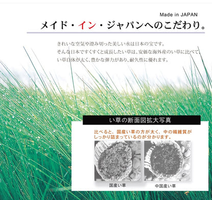 純国産 い草ラグカーペット オリエンタル柄 『DXオーディーン』 約191×191cm 送料無料