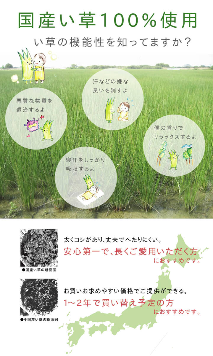 ラグ 国産 い草 カーペット ふっくら ボリューム 『F市松和紋』  約191×191cm 送料無料 - 【公式】allecore(アレコレ) 家具インテリア・生活雑貨のオンライン通販