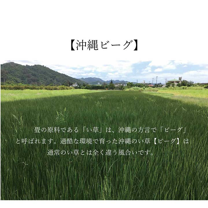 ラグマット正方形い草夏用沖縄ビーグ191×191cm 送料無料