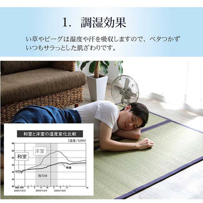 ラグ マット 長方形 い草 夏用 沖縄ビーグ 191×250cm  送料無料