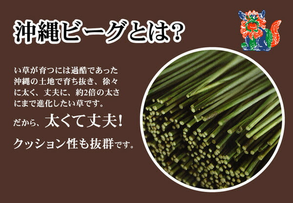 純国産 沖縄ビーグの寝ござ 『ざわわ』 ダブル(約128×200cm）※枚つなぎ 送料無料