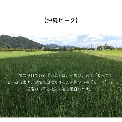 日本製 国産 純国産 沖縄ビーグ ラグ い草 約130×200cm (裏:不織布） 送料無料