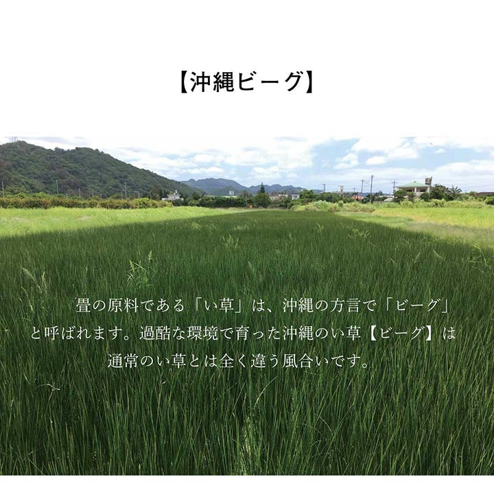 日本製 国産 純国産 沖縄ビーグ ラグ い草 約191×191cm (裏:不織布） 送料無料