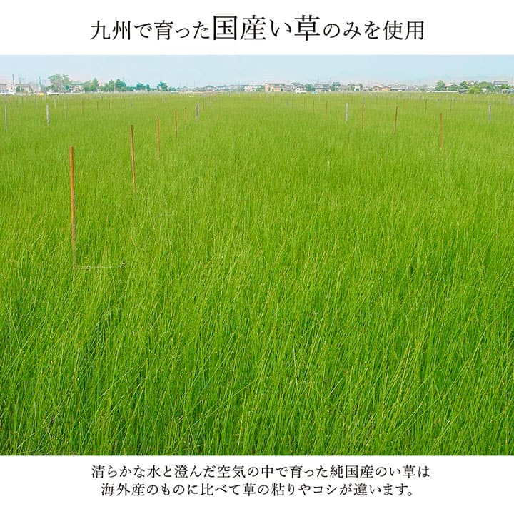 ラグ 国産 純国産 日本製 い草 モダン 抗菌防臭 自然素材 約191×250cm 送料無料