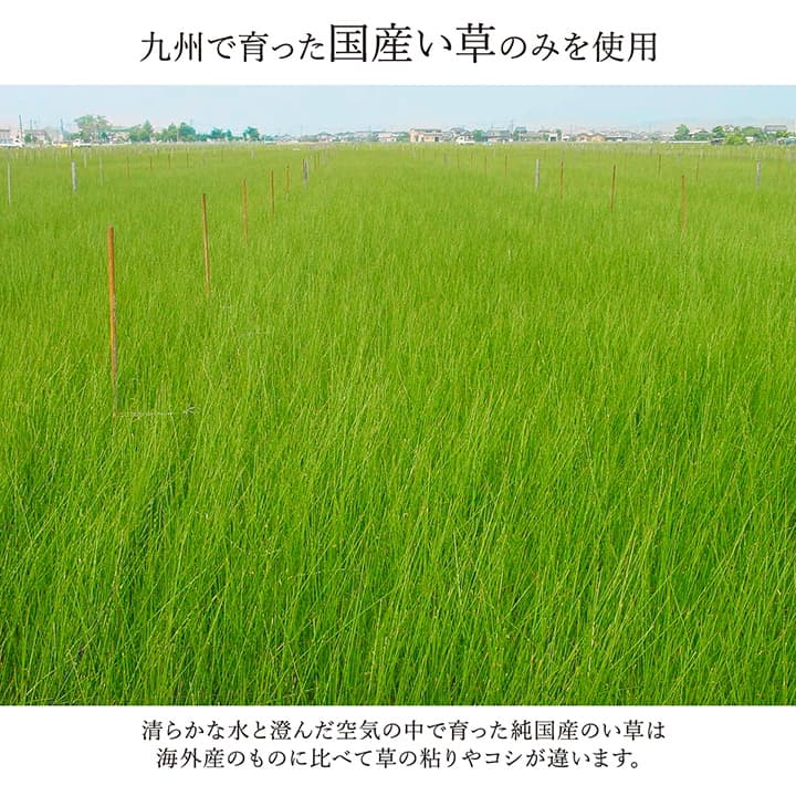 ラグ 国産 純国産 日本製 い草 モダン 抗菌防臭 自然素材 不織布 約176×230cm 送料無料 - 【公式】allecore(アレコレ) 家具インテリア・生活雑貨のオンライン通販