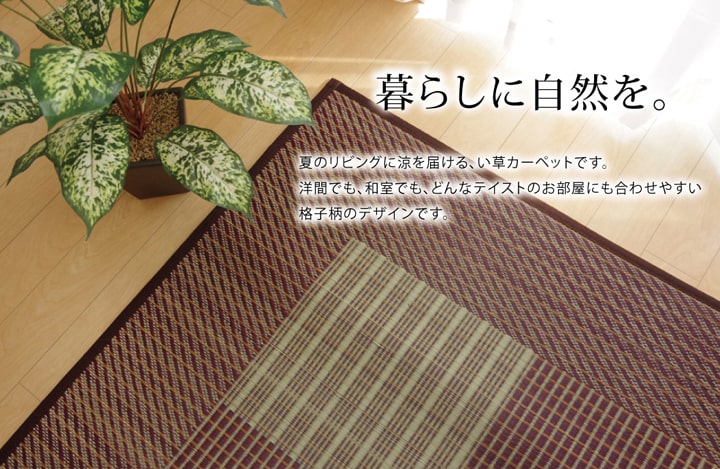 純国産 い草ラグカーペット 格子柄シンプルモダン 『Fライト』 約191×250cm 送料無料 - 【公式】allecore(アレコレ) 家具インテリア・生活雑貨のオンライン通販