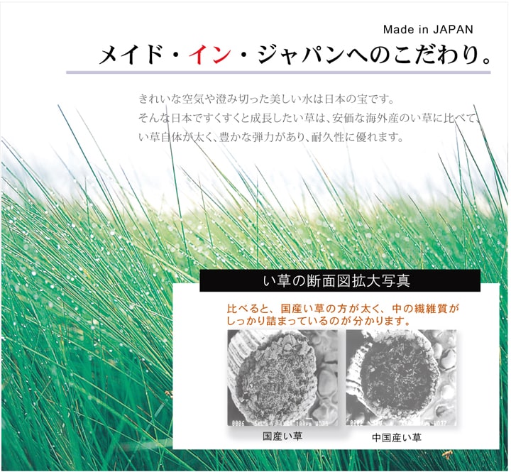 純国産 い草ラグカーペット 格子柄シンプルモダン 『Fライト』 約191×250cm 送料無料 - 【公式】allecore(アレコレ) 家具インテリア・生活雑貨のオンライン通販