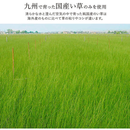 ラグ い草 国産 純国産 日本製 シンプル 無地風 抗菌防臭 自然素材 ウレタン 約140×200cm 送料無料 - 【公式】allecore(アレコレ) 家具インテリア・生活雑貨のオンライン通販