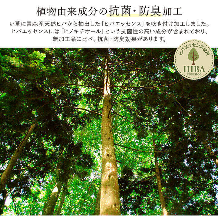 ラグ い草 国産 純国産 日本製 シンプル 無地風 抗菌防臭 自然素材 ウレタン 約140×200cm 送料無料 - 【公式】allecore(アレコレ) 家具インテリア・生活雑貨のオンライン通販