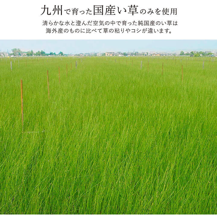 ラグ い草 国産 純国産 日本製 シンプル 無地風 抗菌防臭 自然素材 ウレタン 約191×250cm 送料無料 - 【公式】allecore(アレコレ) 家具インテリア・生活雑貨のオンライン通販