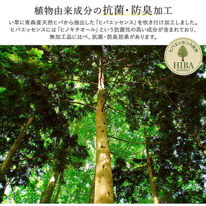 ラグ い草 国産 純国産 日本製 シンプル 無地風 抗菌防臭 自然素材 ウレタン 約191×250cm 送料無料 - 【公式】allecore(アレコレ) 家具インテリア・生活雑貨のオンライン通販