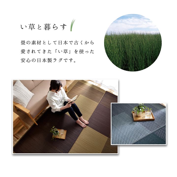 ラグ 長方形 夏用 い草 シンプル 191×250cm 送料無料
