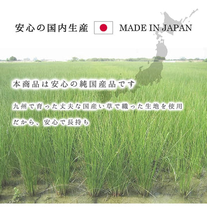 ラグ 長方形 夏用 い草 シンプル 191×250cm 送料無料